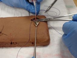 Basic Surgical Skills Task Training Model<